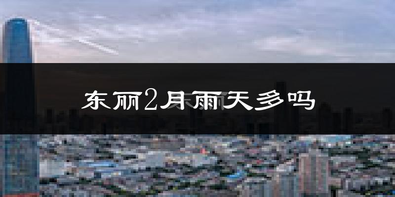 东丽2月雨天多吗?
