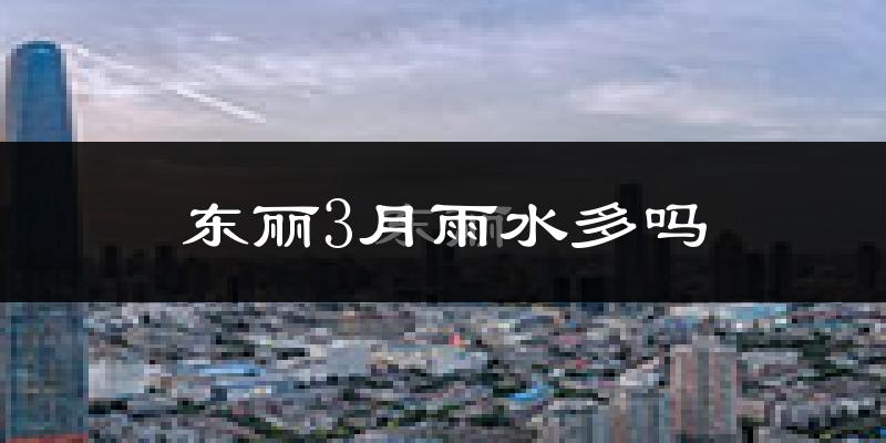 东丽3月雨水多吗?