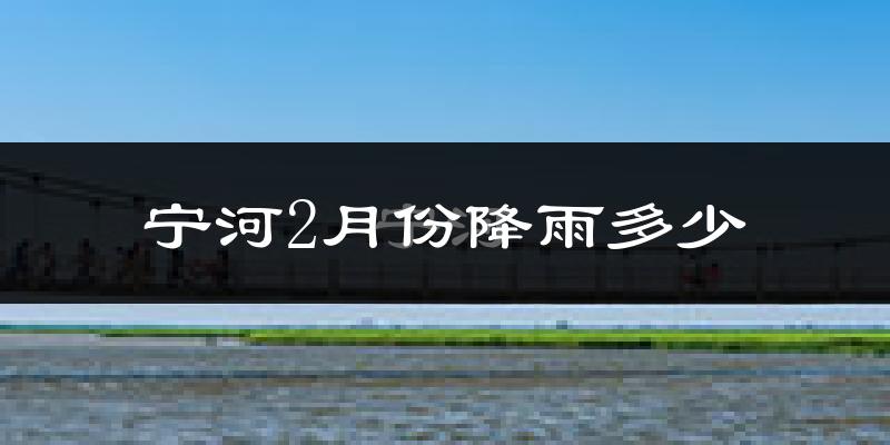 宁河2月份降雨多少?