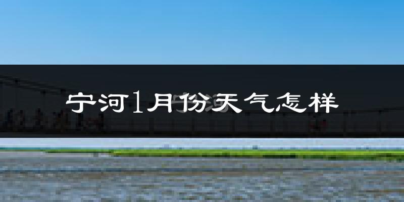 宁河区1月份天气如何?很冷吗?