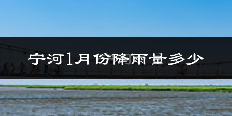 宁河1月份降雨量多少?宁河一月下雨多吗?