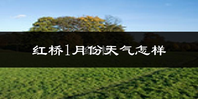 红桥1月份天气怎样?红桥一月冷不冷?