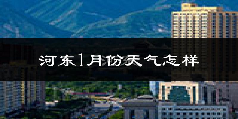 河东1月份天气怎样?河东一月冷吗?