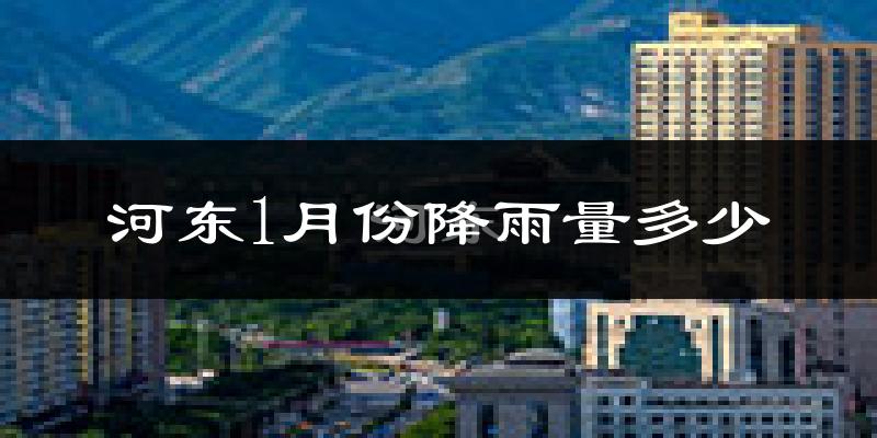 河东1月份降雨量多少?河东一月下雨多吗?