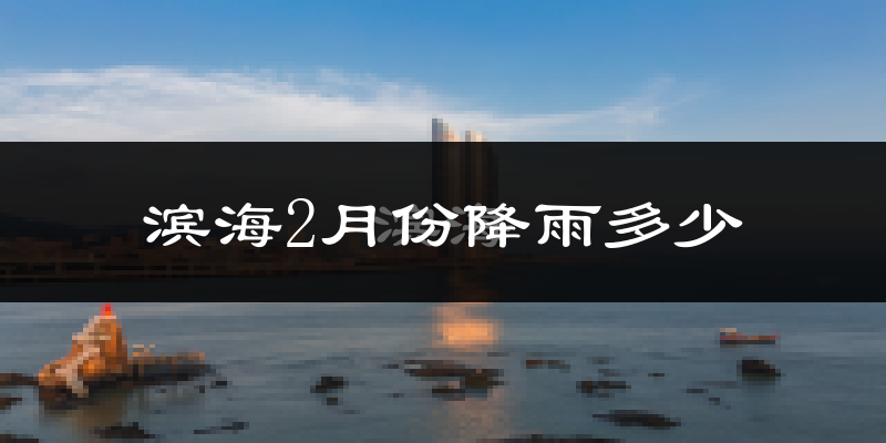 滨海2月份降雨多少?