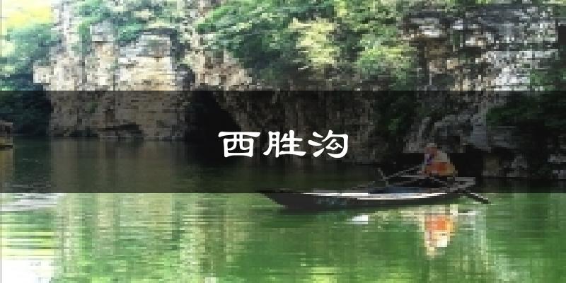 西胜沟天气预报十五天