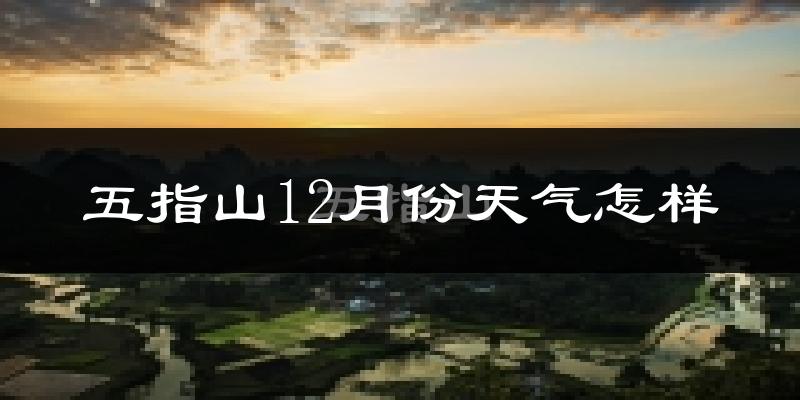五指山12月份天气怎样?五指山十二月冷不冷?